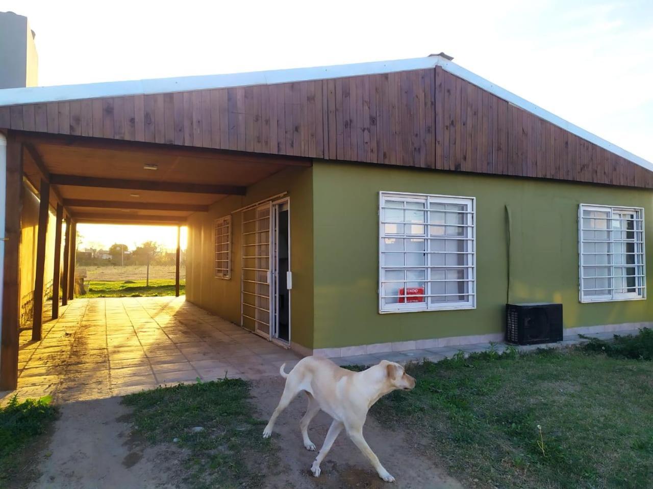 Luna Nueva